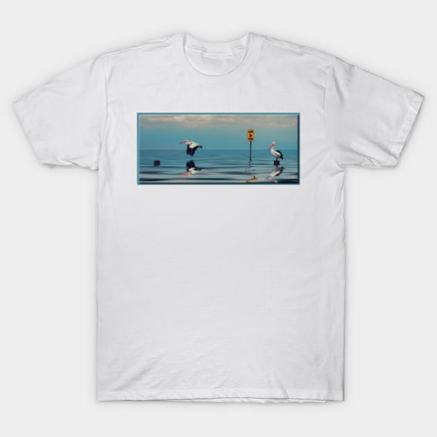 Slow Pelican Xing T-Shirt by rgerhard